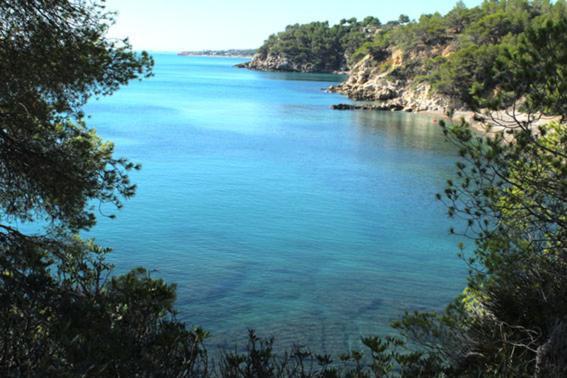 Casita De Pescadores Con Vista Al Puerto Apartment L'Ametlla de Mar Bagian luar foto